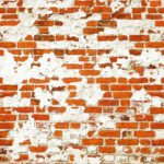brick_wall_274.5x254cm_00