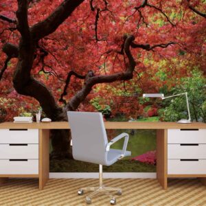 270P8_fototapeta_fototapete_foto_tapeta_tapete_cena_najpovoljnije_novi_sad_03