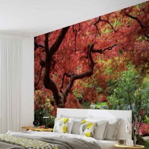 270P8_fototapeta_fototapete_foto_tapeta_tapete_cena_najpovoljnije_novi_sad_04