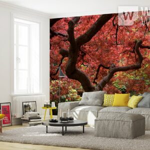 270P8_fototapeta_fototapete_foto_tapeta_tapete_cena_najpovoljnije_novi_sad_08