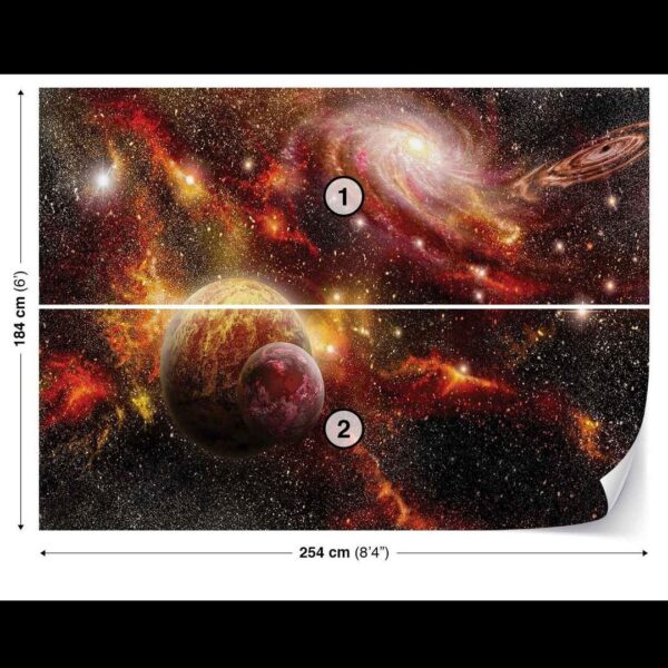 190x272 Nature (Birch Trees) - Priroda - Breze - Šuma - Fototapete 3D foto tapeta zidni mural