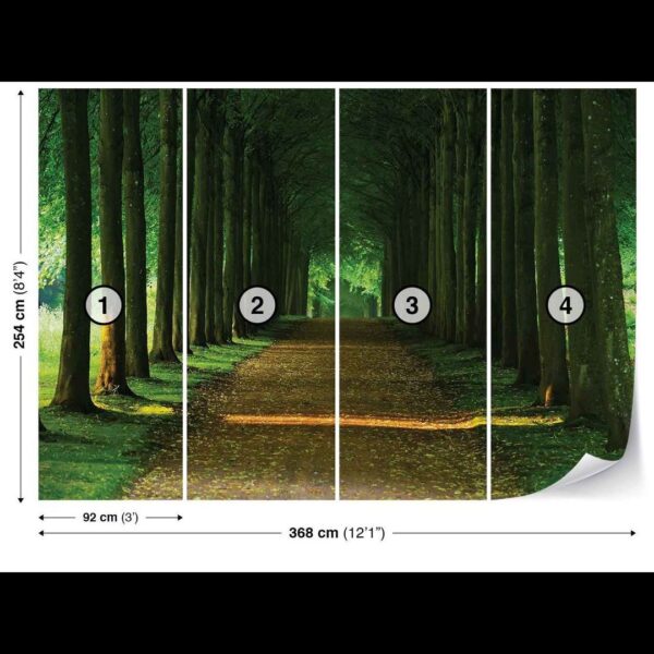 190x272 Nature (Birch Trees) - Priroda - Breze - Šuma - Fototapete 3D foto tapeta zidni mural