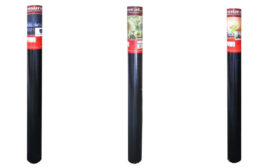 00 Pakovanje fototapete zidni murali foto tapete zidne 254x184 Pattern (Rose Roses In Bloom) - Cveće - Roze ruže - 3D fototapeta zidni mural foto tapeta