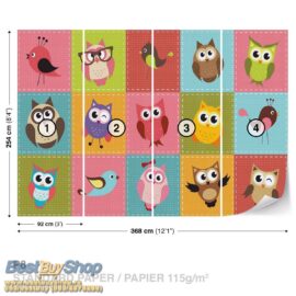 1035p8-4 sova ptica decija decja fototapeta foto tapeta 3d tapete fototapet 368x254 Kids (Colourful Owls) - Sova - Ptice - Dečija soba - 3D fototapeta zidni mural foto tapeta