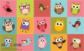1035p8 colourful owls 368x254 Kids (Colourful Owls) - Sova - Ptice - Dečija soba - 3D fototapeta zidni mural foto tapeta