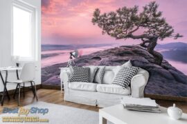 254x184 Nature (Mountain Peak Lonely Tree) - Planinski vrh - Planina -  - 3D fototapeta zidni mural foto tapeta