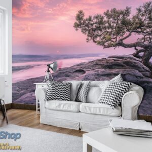 254x184 Nature (Mountain Peak Lonely Tree) - Planinski vrh - Planina -  - 3D fototapeta zidni mural foto tapeta