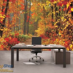 254x184 Nature (Autumn Forest Road) - Priroda - Planina - Jesenji motiv - 3D fototapeta zidni mural foto tapeta