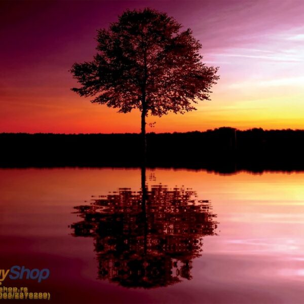 8-007P8 tree sunset reflection