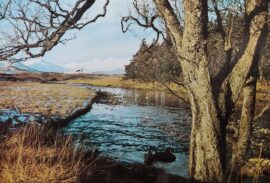 380x272 Nature (Nature Lover) - Priroda - Reka - Planina - 3D fototapeta zidni mural foto tapeta